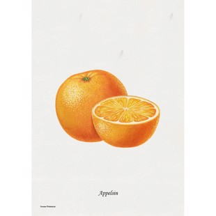 Apelsin Litografi